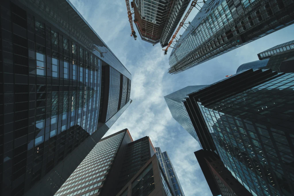 pexels masoodaslami 19969240 pexels masoodaslami 19969240